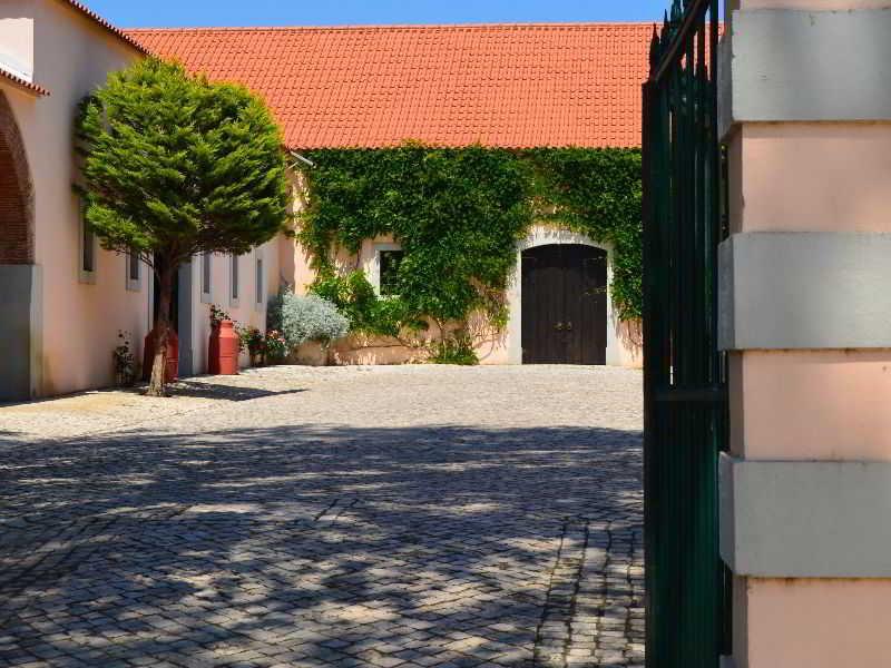 Quinta Do Covanco Аленкер Экстерьер фото