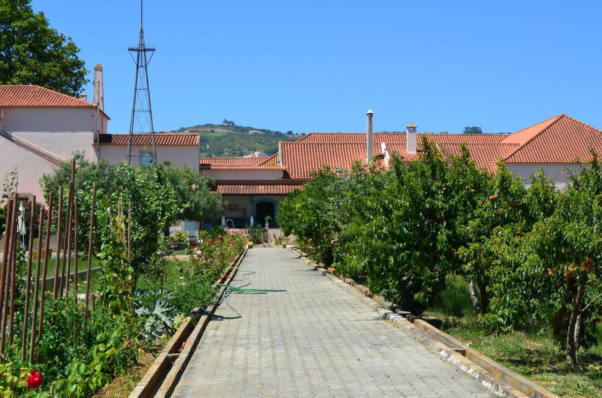 Quinta Do Covanco Аленкер Экстерьер фото