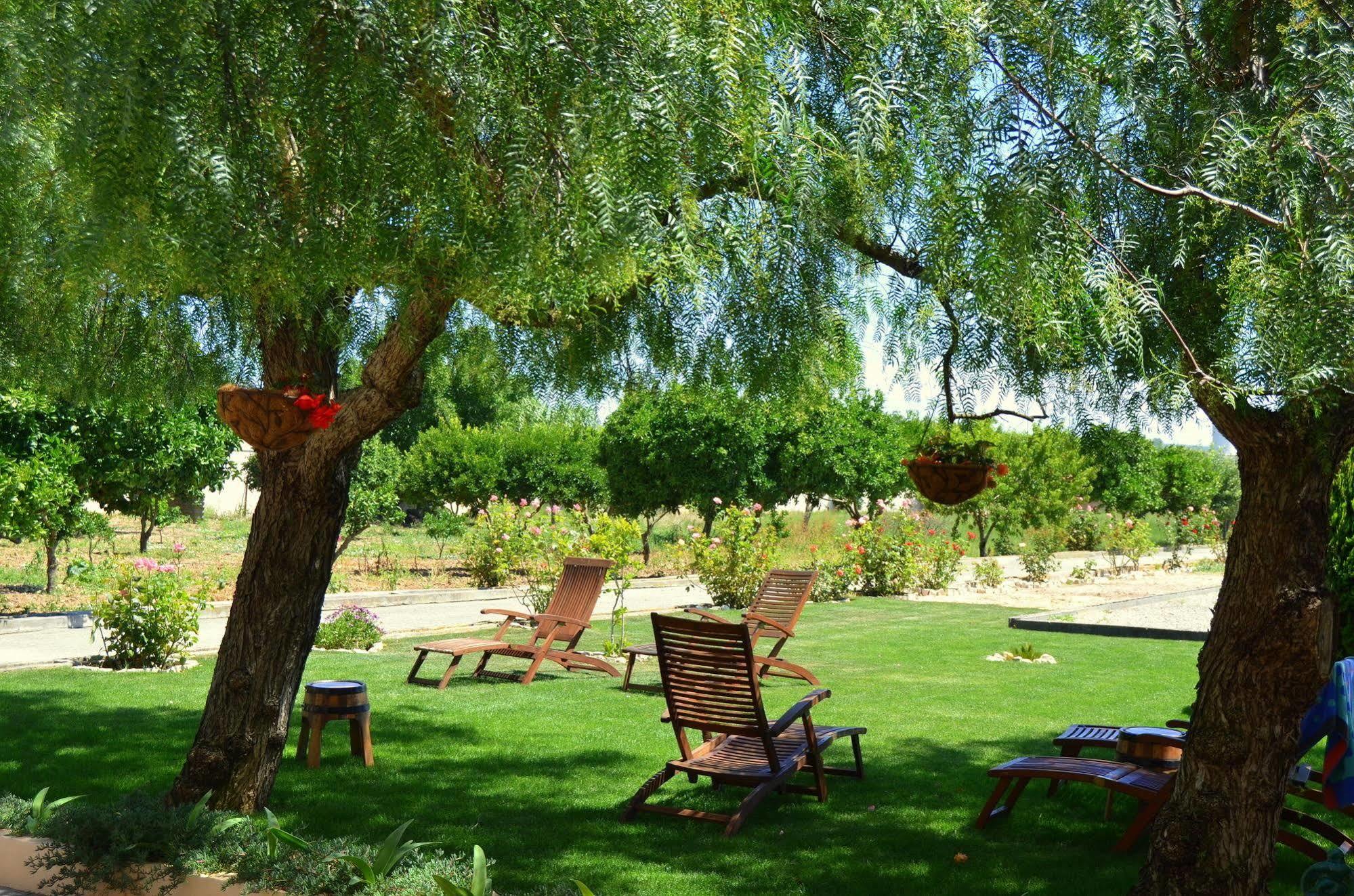 Quinta Do Covanco Аленкер Экстерьер фото
